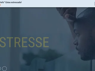 TrainingBriefs® I’m Stressed! (Portuguese-Brazilian)